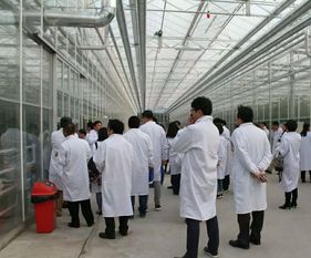 永通科技亮相京津冀，共探蔬菜工廠化生產新路徑