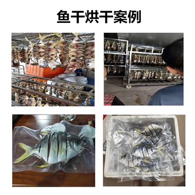 水產品烘干機 高效加工魚干與蝦干的現(xiàn)代化解決方案