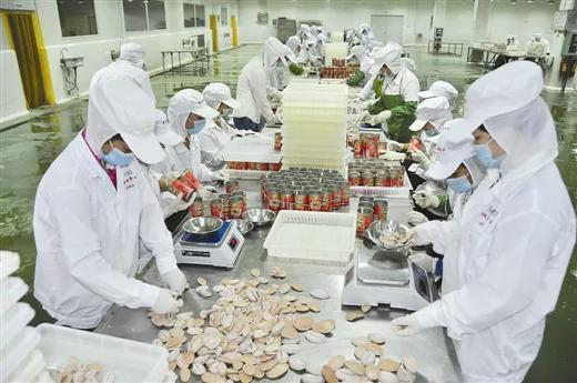 金花茶香飄邊陲，海陸門戶涌商機——探訪活力迸發(fā)的東興邊境經(jīng)濟合作區(qū)