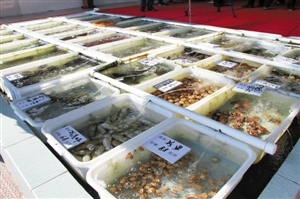 南澳海鮮餐廳推新模式 取消加工費，強化銷售品質承諾